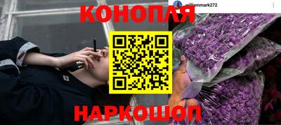 мдпв Малгобек
